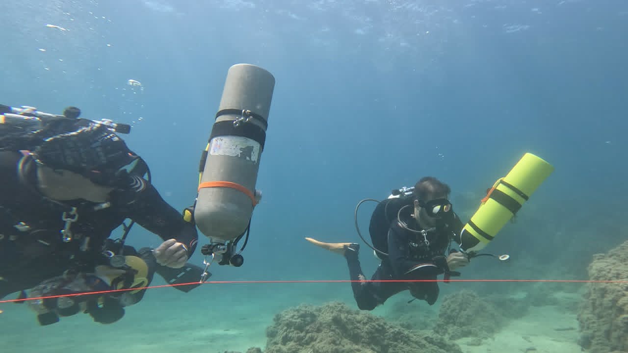 Divers on a line in open water